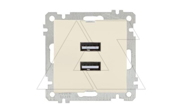 21 - Розетка 2xUSB Type A, сл.кость
