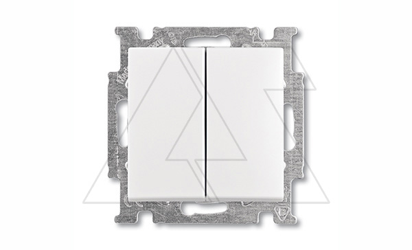 Basic 55 - Переключатель на 2 направления двухклавишный (белый, блистер)