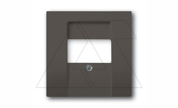 Basic 55 - Лицевая панель для аккустических и 2хUSB розеток (шато-черный)