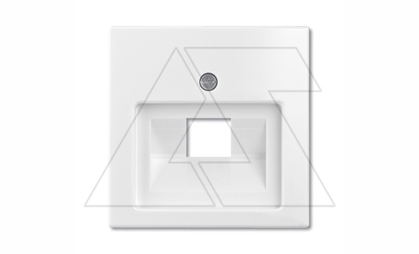 Basic 55 - Лицевая панель для одинарной информационной розетки (сл.кость)