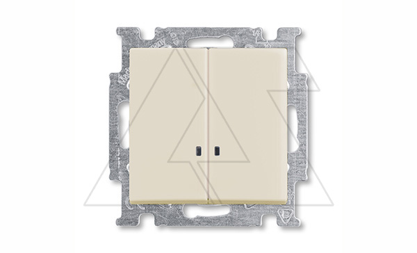 Basic 55 - Выключатель двухклавишный с подсветкой (сл.кость)