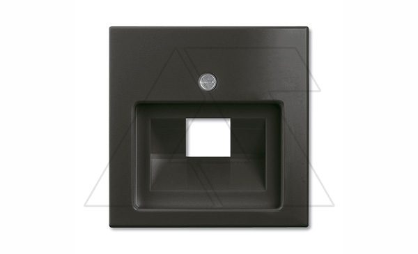 Basic 55 - Лицевая панель для одинарной информационной розетки (шато-черный)