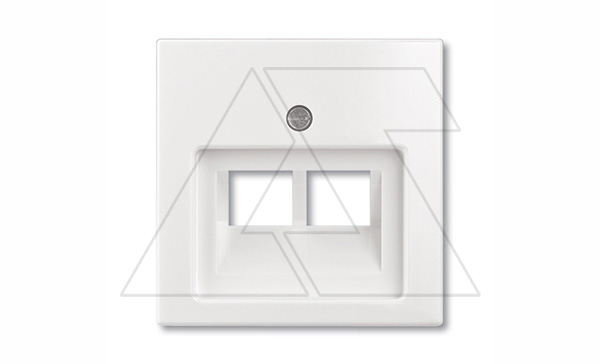 Basic 55 - Лицевая панель для двойной информационной розетки (сл.кость)