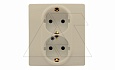 Etika - Розетка 2x2P+E нем. стд. (сл.кость) от интернет-магазина amperkin.by