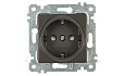 Rita - Розетка 2P+E, защ. шторки, дымчатый от интернет-магазина amperkin.by