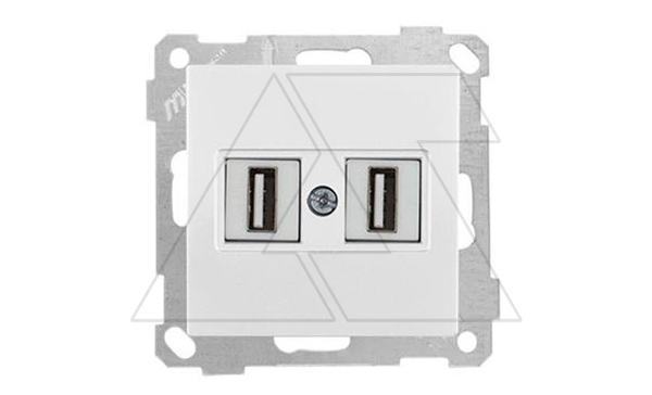 21 - Розетка 2xUSB Type A, для передачи данных, белый