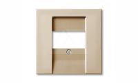 Basic 55 - Лицевая панель для аккустических и 2хUSB розеток (шампань)