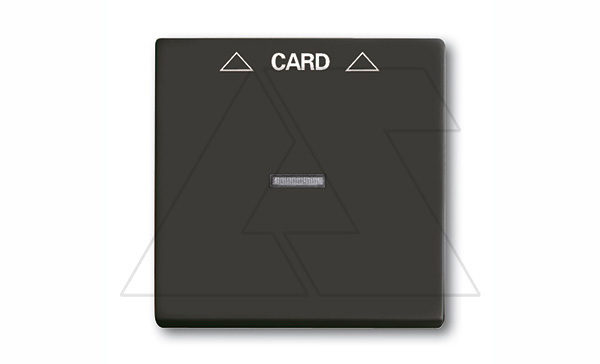 Basic 55 - Лицевая панель для выключателя с ключом-карточкой механизм 2025U (шато-черный)