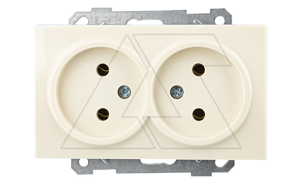 21 - Розетка двойная 2x2P, сл.кость