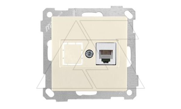 21 - Розетка телефонная 1хRJ-12, сл.кость