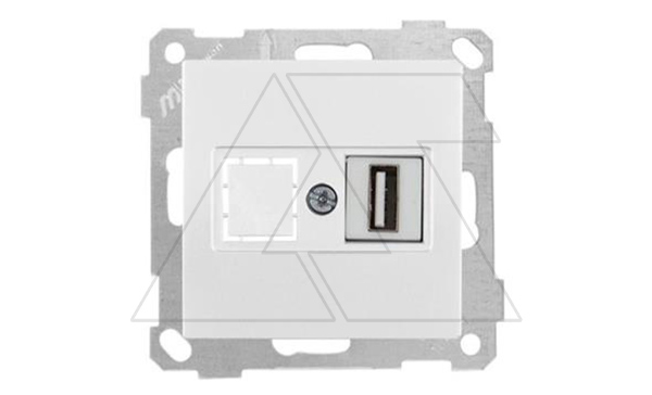 21 - Розетка 1xUSB Type A, для передачи данных, белый