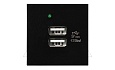 Noen - Розетка 2хUSB, 2М, 5V, 2,1A, черная от интернет-магазина amperkin.by