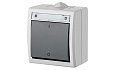 AQUANT - Выключатель двухполюсный, 10A/250V, ABS ,UV, IP55, корпус RAL7035/кнопка RAL7043 от интернет-магазина amperkin.by