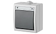 AQUANT - Выключатель/переключатель на 2 направления, 10A/250V, ABS ,UV, IP55, корпус RAL7035/кнопка RAL7043 от интернет-магазина amperkin.by
